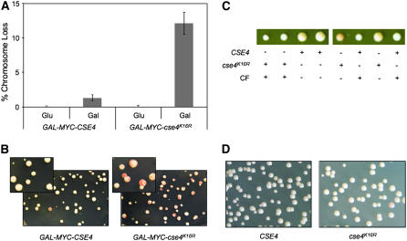 Figure 1.—