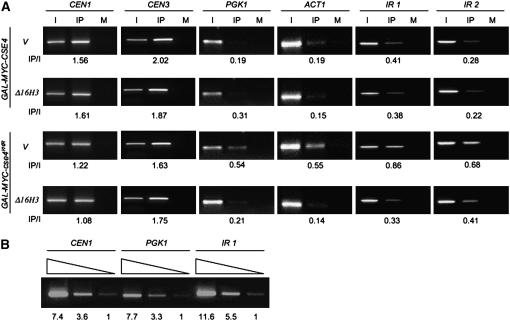 Figure 4.—