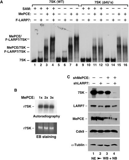 Figure 6.