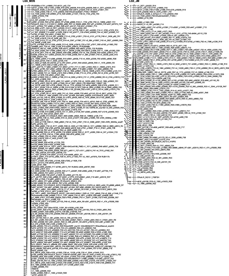 Fig. 5