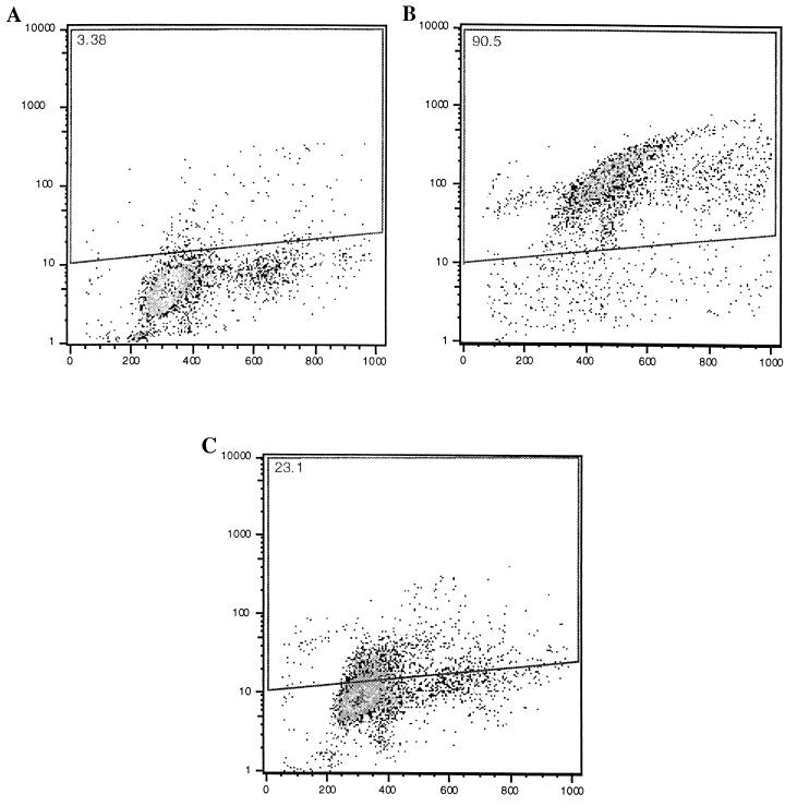 FIG. 1