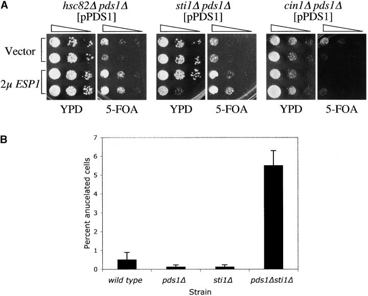 Figure 4.—