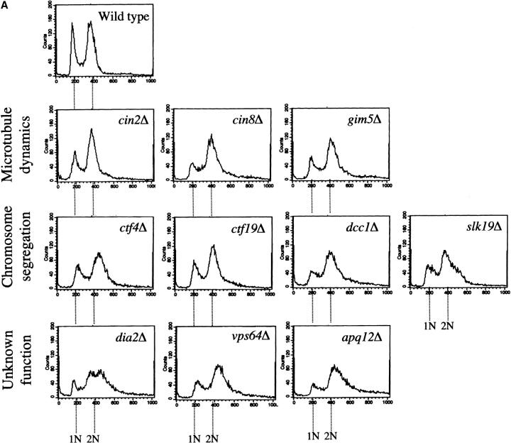 Figure 3.—