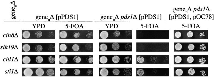 Figure 2.—