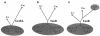FIG. 3.