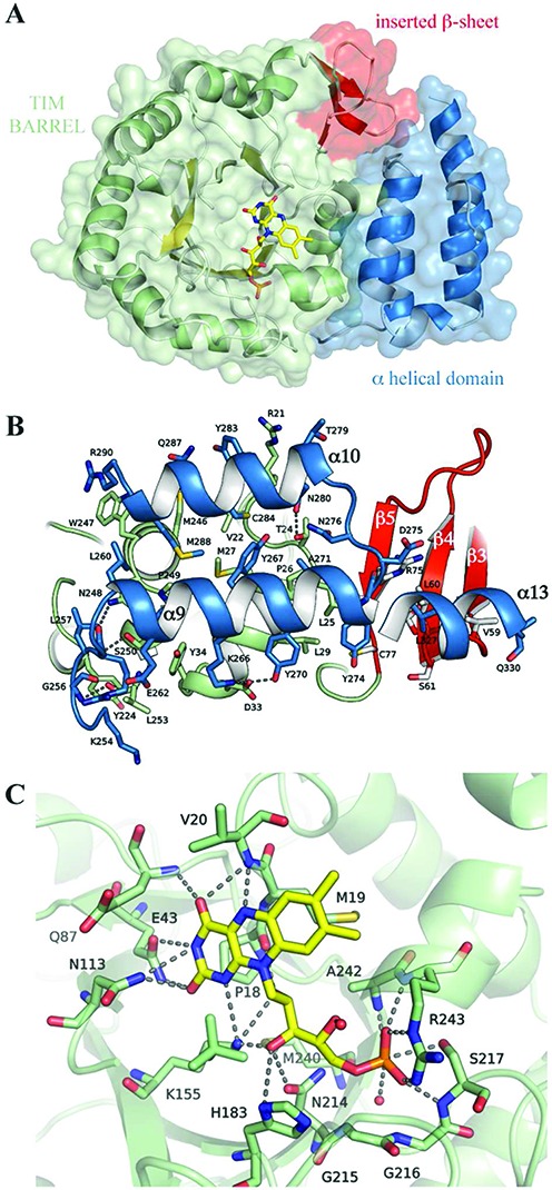 Figure 4.