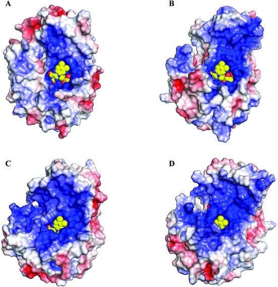 Figure 5.