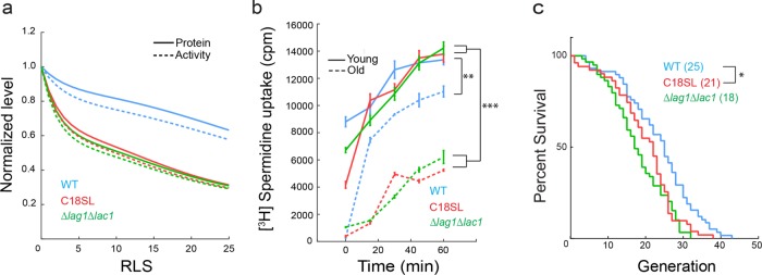 FIGURE 6: