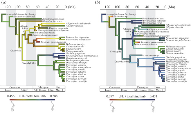 Figure 6.