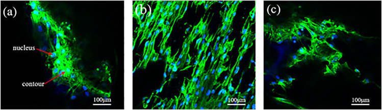 FIGURE 15