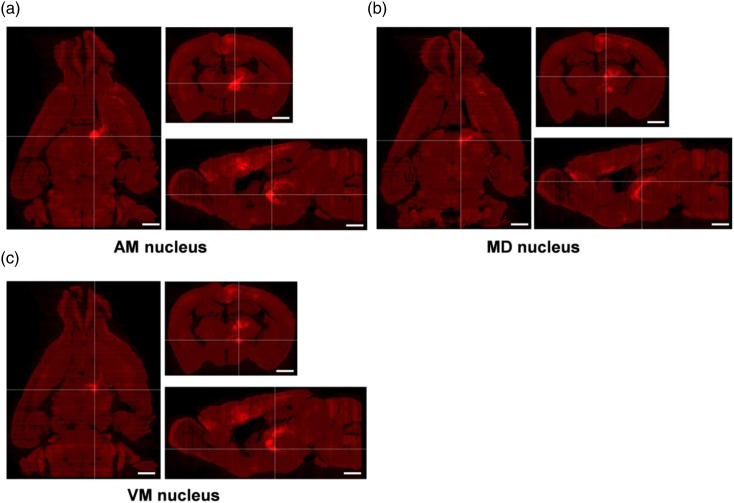 Figure 3.