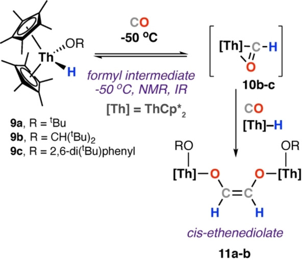 Scheme 4