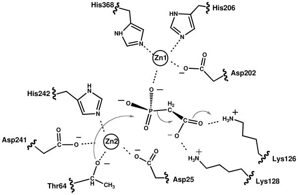 Scheme 3