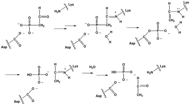 Scheme 2