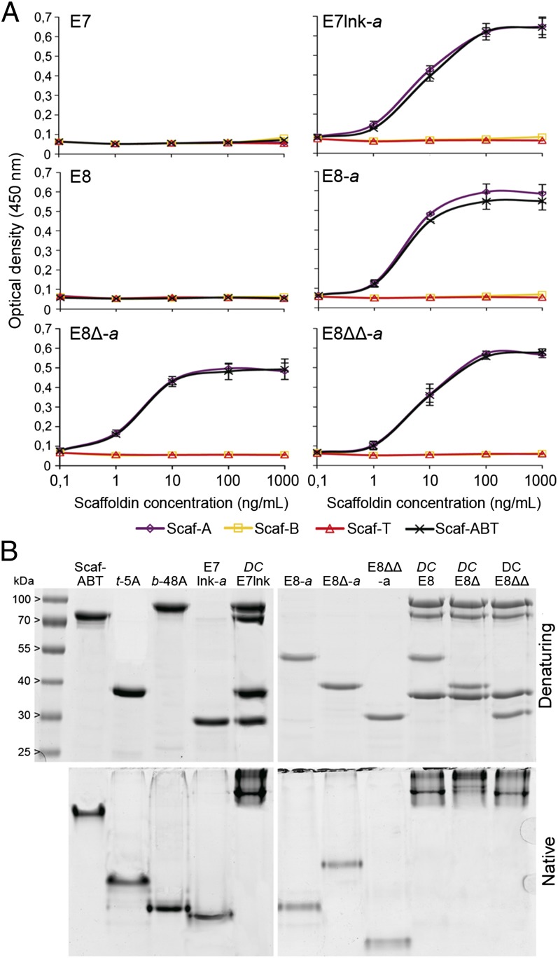 Fig. 3.