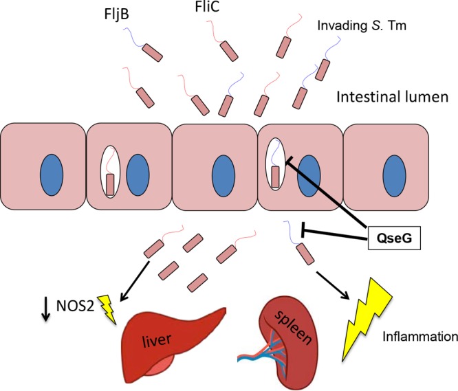 FIG 8