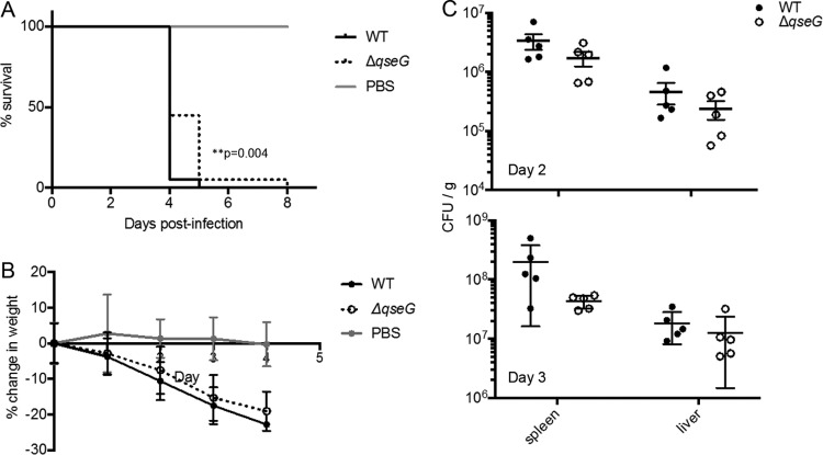 FIG 6