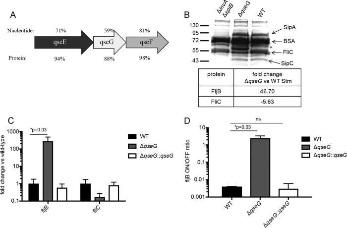 FIG 4