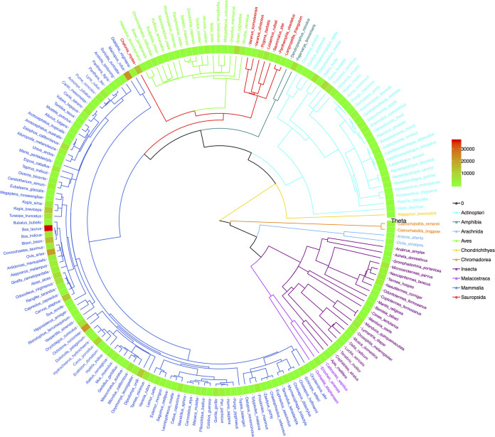 FIG 6