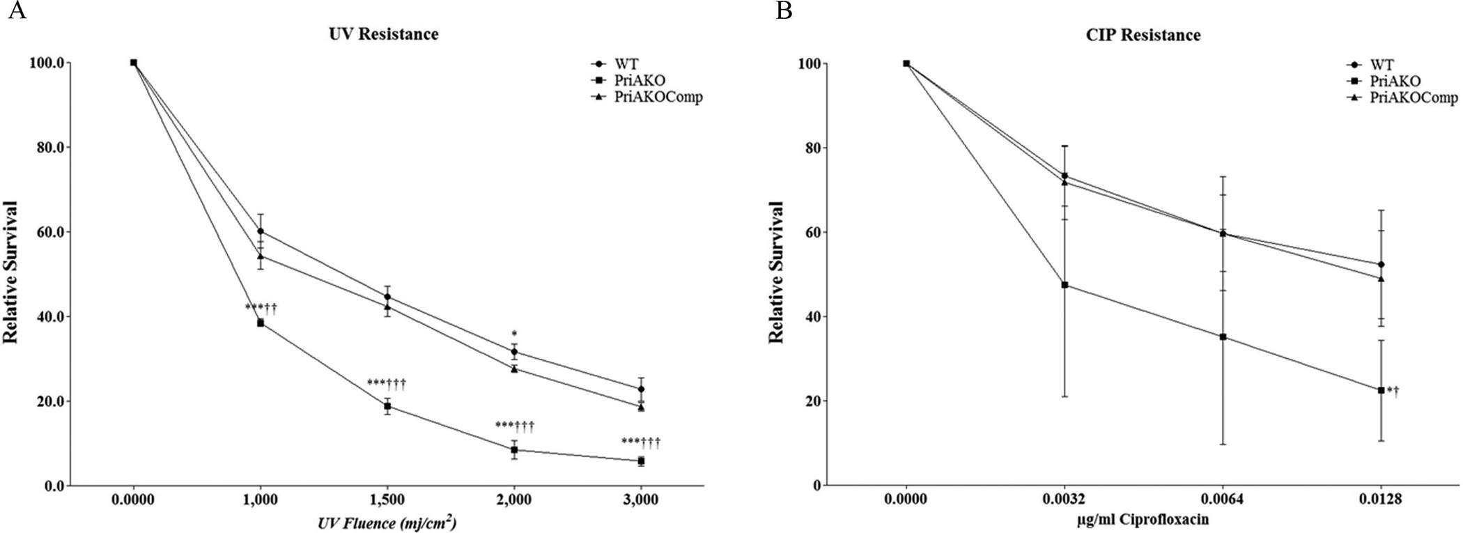 Figure 4: