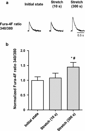 Fig. 2