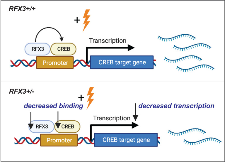 Figure 7: