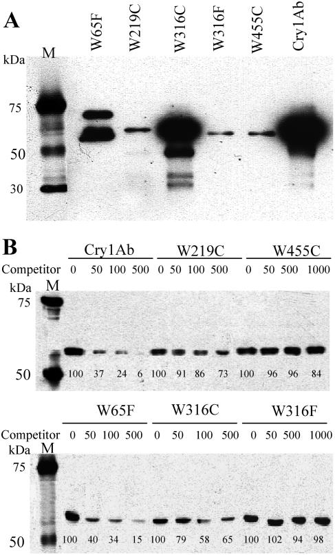 FIG. 3.