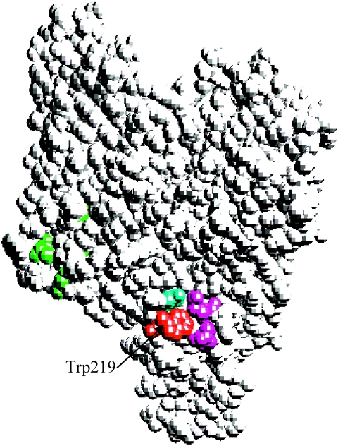 FIG. 6.