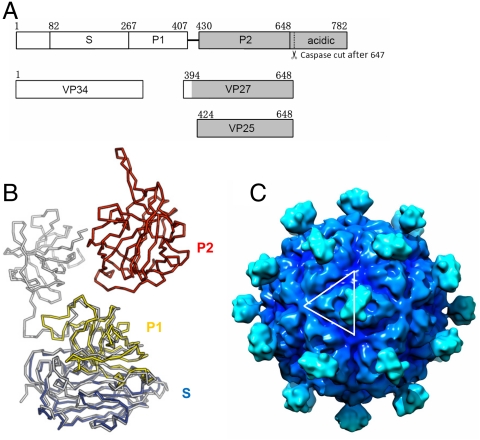 Fig. 3.