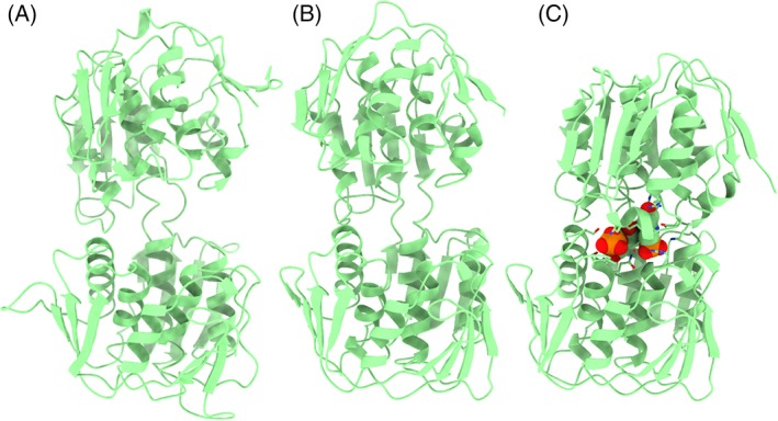 Figure 2