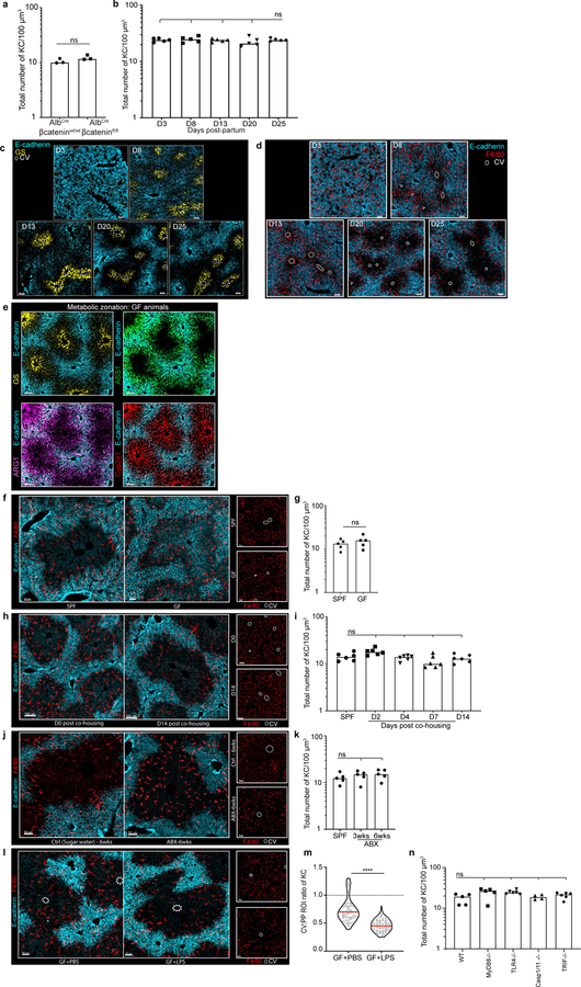 Extended Figure 3.