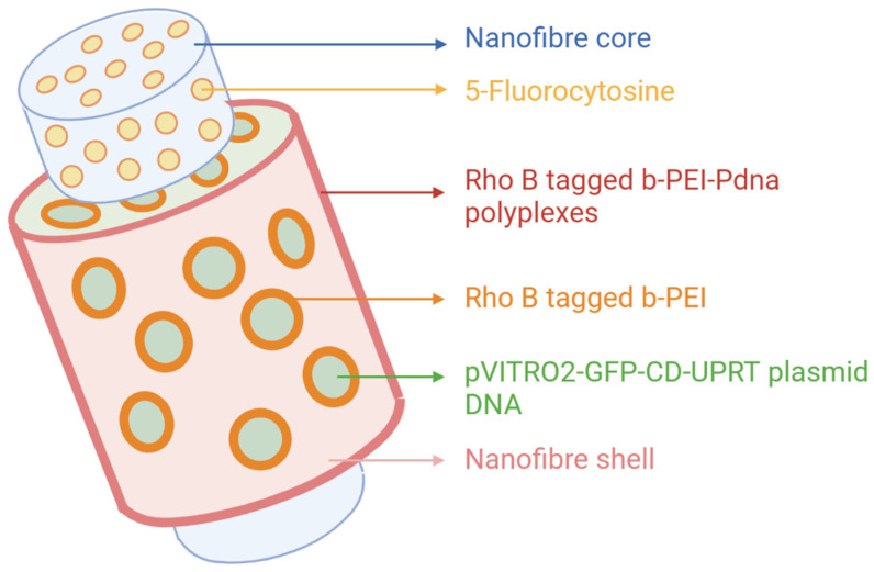 Figure 6