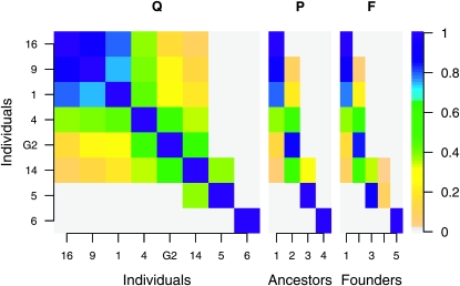 Figure 6.—