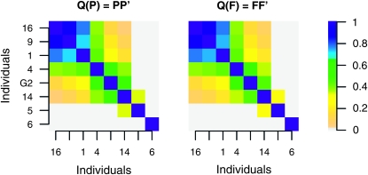 Figure 7.—