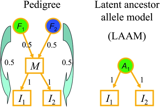 Figure 5.—