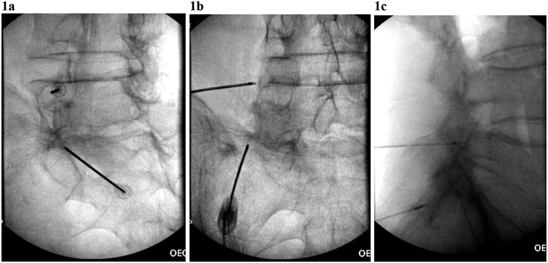 FIGURE 1.