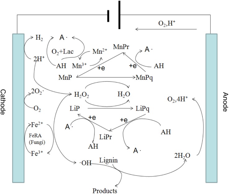 FIGURE 3