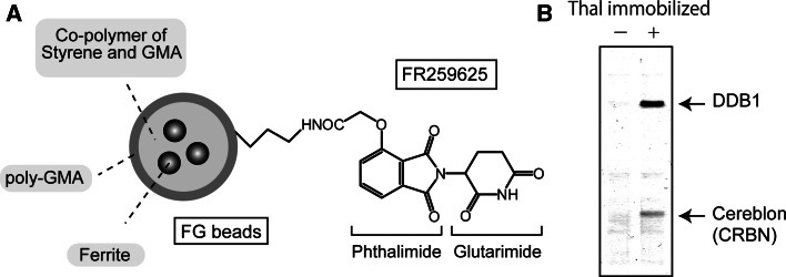 Fig. 3