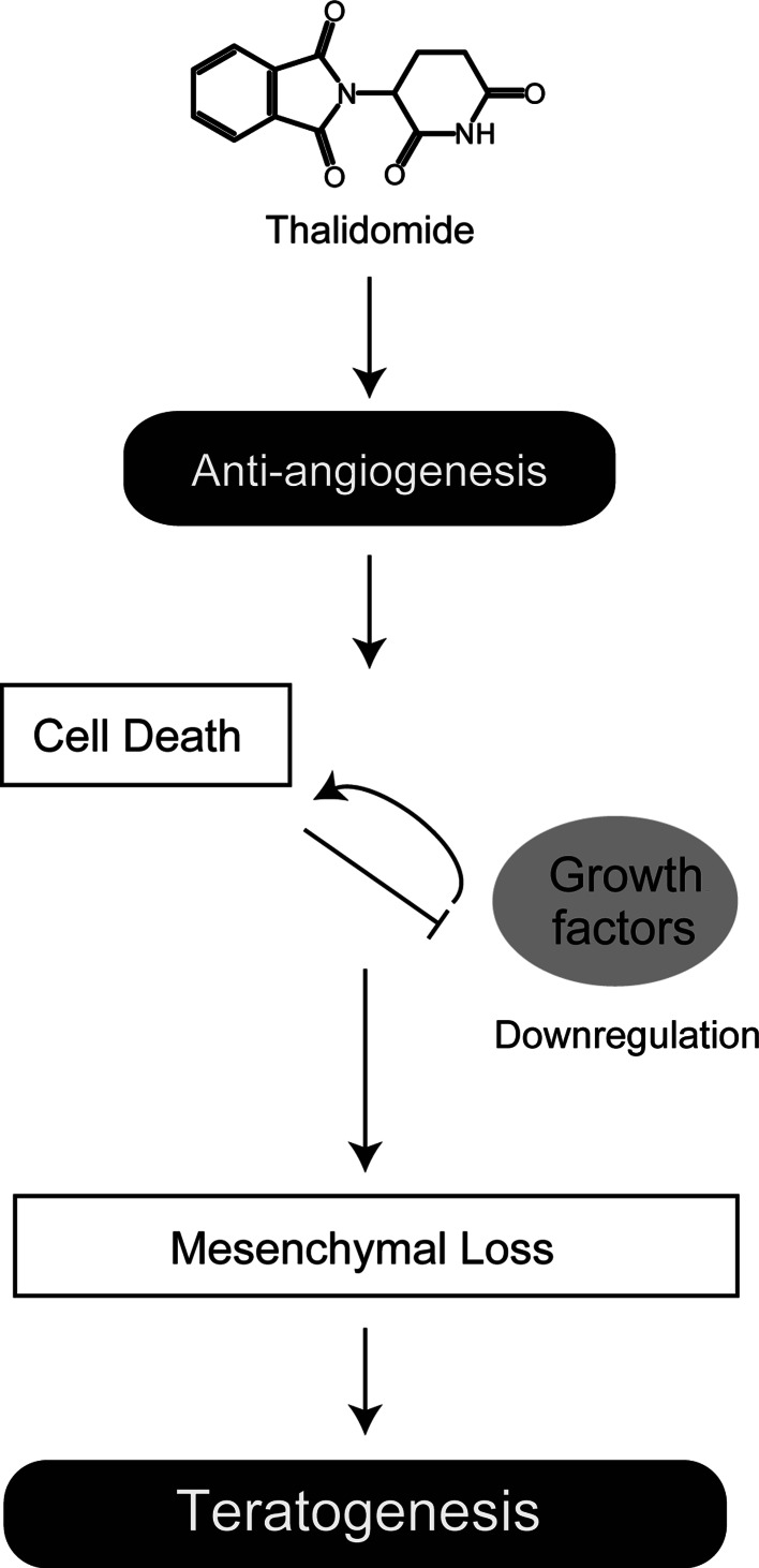 Fig. 2