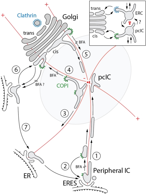 Figure 10.