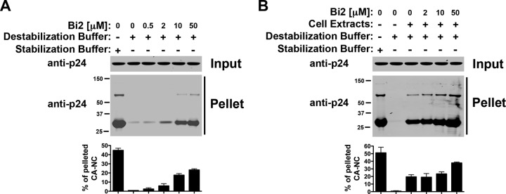 Fig 7