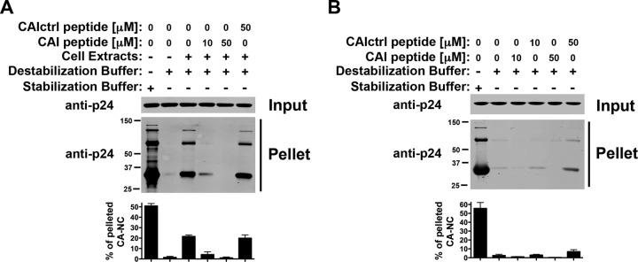 Fig 5