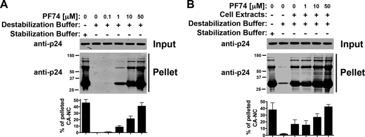 Fig 6