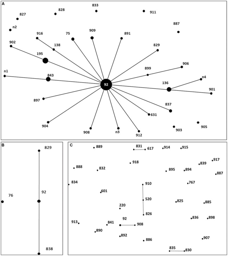 FIGURE 1