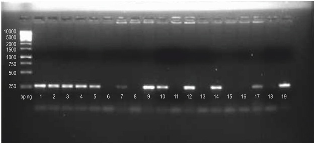 [Table/Fig-9]: