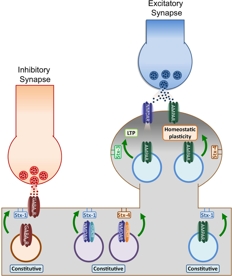 Figure 2: