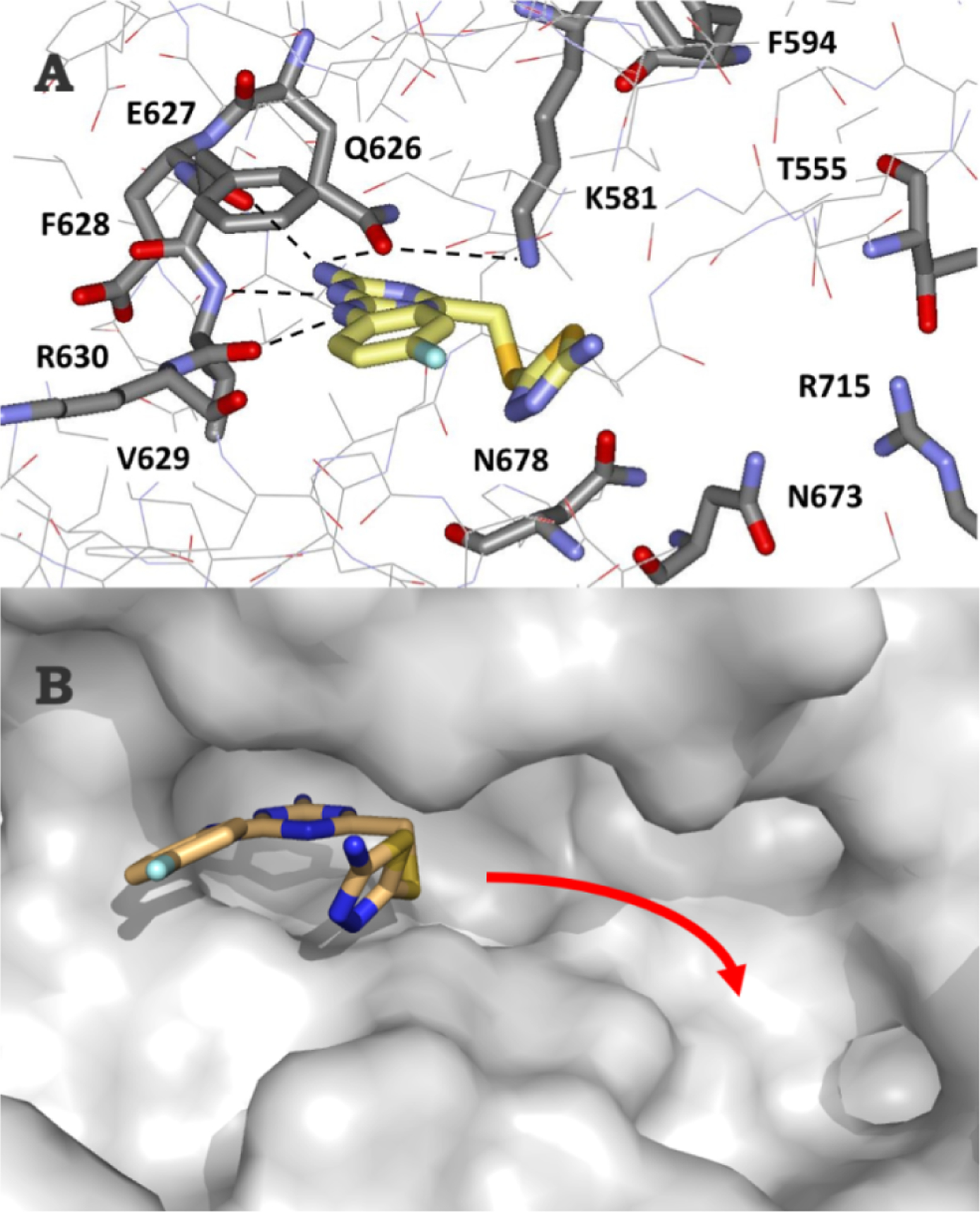 Figure 2.