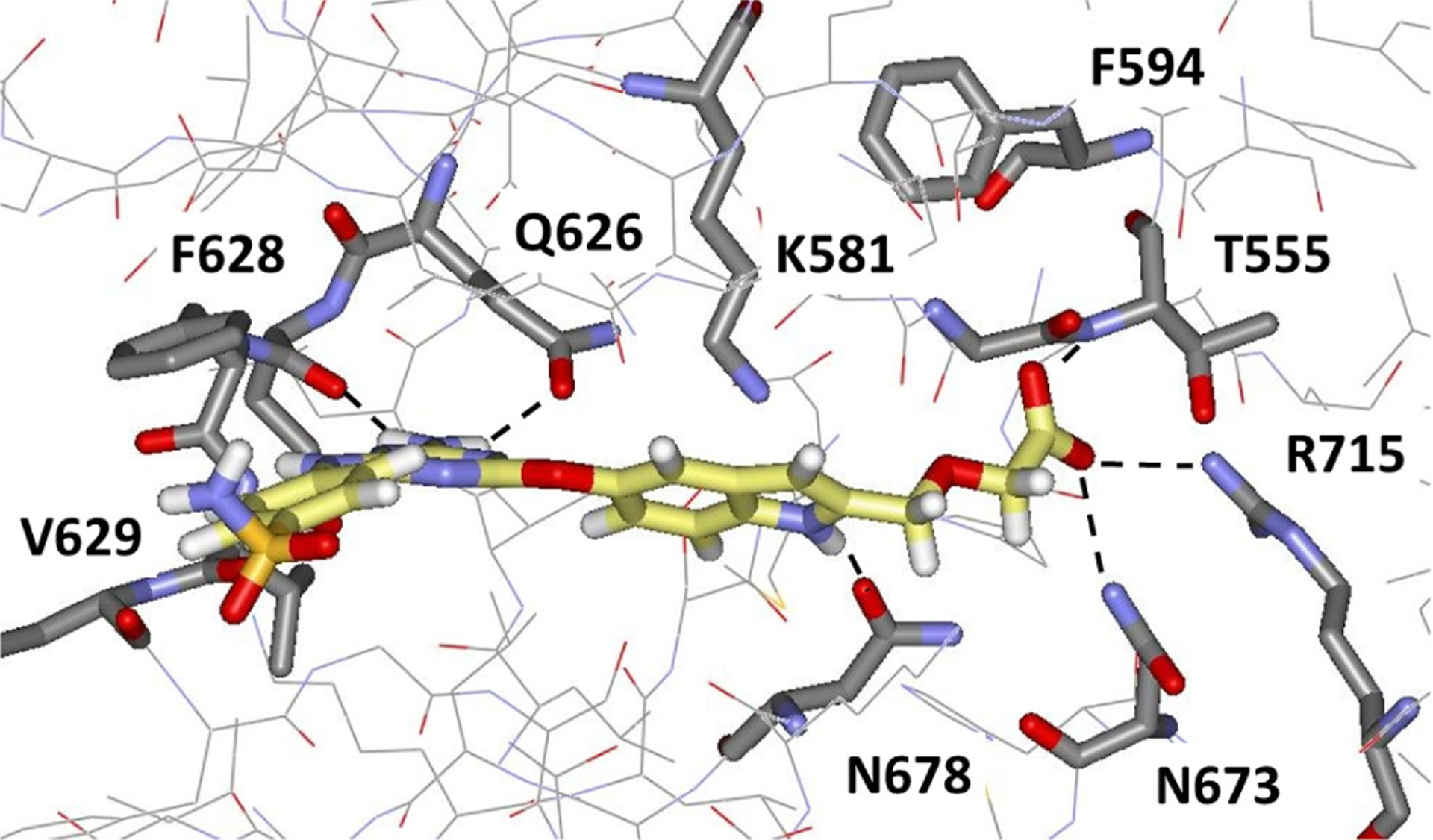 Figure 4.