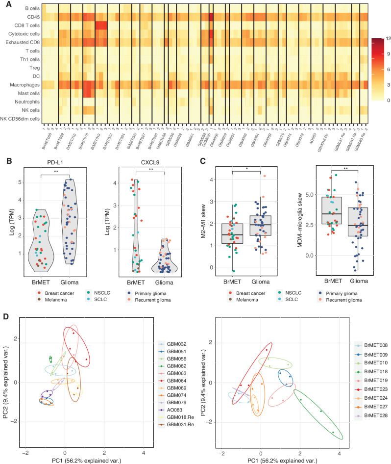 Figure 4. Spatial diversity of the immune microenvironment. A, Heat map of the immune cell scores for all samples as estimated by the method from Danaher and colleagues (42). Each column represents a tumor region and each row represents an immune population. Scores represent the average of the log-transformed expression of a collection of subset-specific genes. B, Difference in log-transformed expression of PD-L1 (left) and CXCL9 (right) between tumor types for all samples within cohort. Significance determined by t test with Benjamini–Hochberg multiple test correction. **, q < 0.01. C, Difference in macrophage polarization (left) or ontogeny (right) based on previously published gene sets (see Methods) between tumor types for all samples within the cohort. Significance determined by two-sided t test. *, P < 0.05; **, P < 0.01. D, Danaher scores for each sector from a tumor with three or more samples plotted in PC1–PC2 space following principal components analysis. DC, dendritic cell; NK, natural killer; Treg, regulatory T cell.