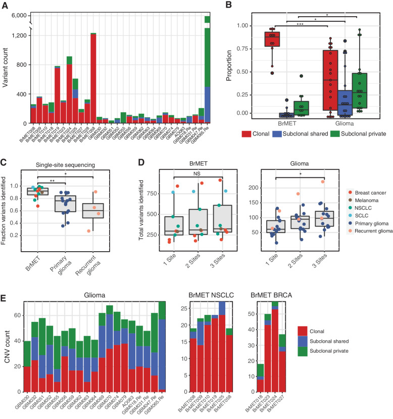 Figure 2. Intratumoral genomic heterogeneity of variants and CNAs. A, Variant clonality per tumor. B, Proportion of clonal, subclonal shared, and subclonal private variants in brain metastases and gliomas. Significance determined by unpaired t test. *, P < 0.05; ***, P < 0.001. C, Proportion of total identified variants that would have been captured through the sequencing of a random single site from within each tumor. Significance determined by unpaired t test. *, P < 0.05; **, P < 0.01. D, Total variants identified per tumor if one, two, or three samples were pooled for analysis. Significance determined by unpaired t test. *, P < 0.05. NS, not significant. E, CNV clonality per tumor in the gliomas (left), NSCLC brain metastases (middle), and breast cancer brain metastases (right) cohorts.